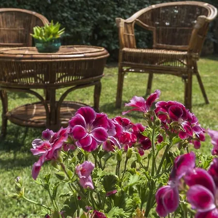 La Maison D'anna Maria - Lt - Pms Casevacanze オルビア