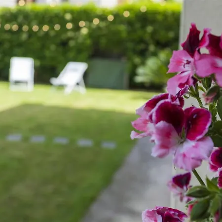 La Maison D'anna Maria - Lt - Pms Casevacanze * Olbia