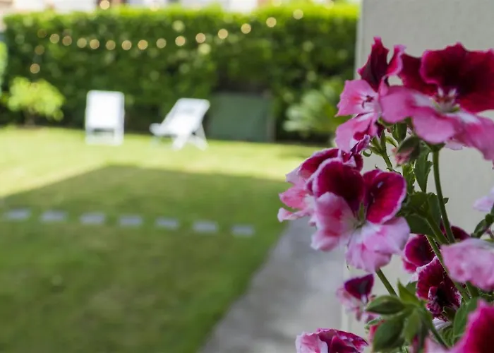 La Maison D'anna Maria - Lt - Pms Casevacanze * Olbia