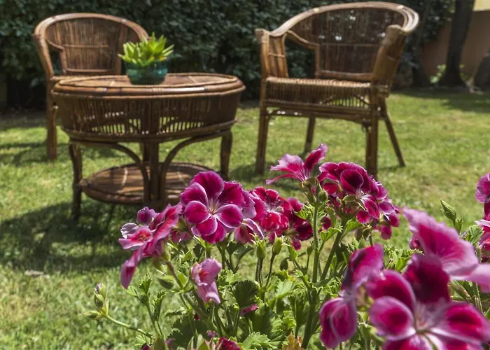 La Maison D'anna Maria - Lt - Pms Casevacanze Olbia